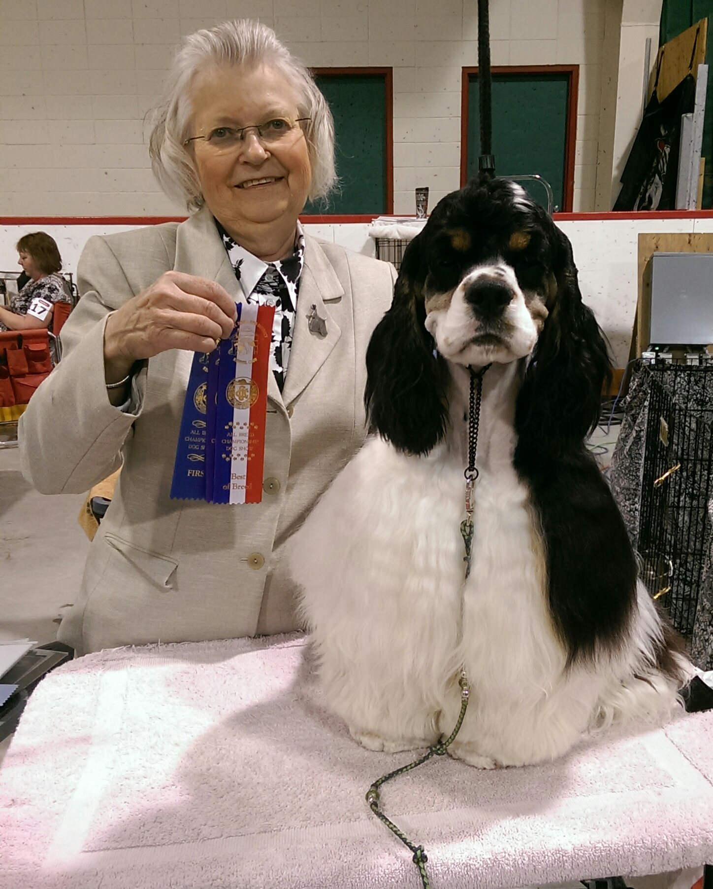 Cocker Spaniel