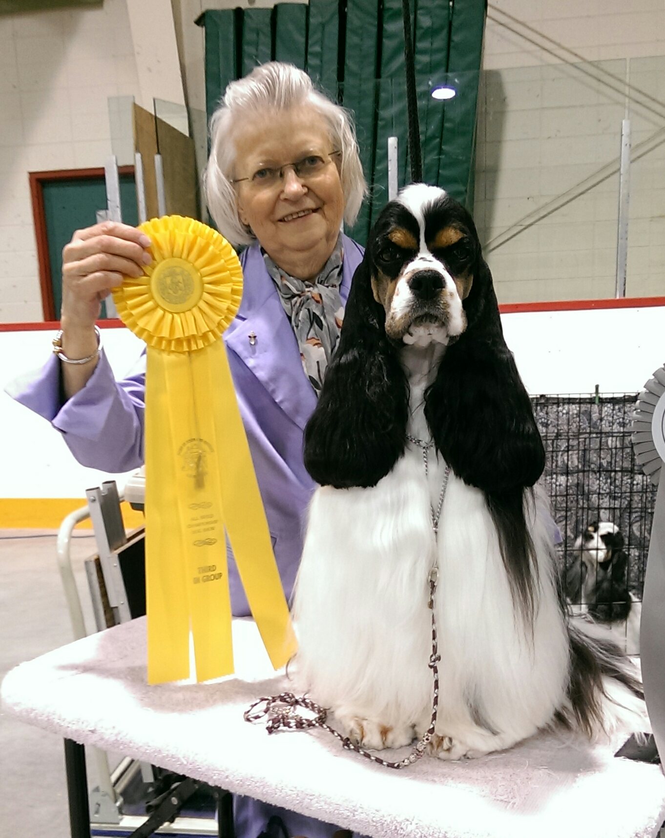 Cocker Spaniel