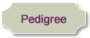 Pedigree button